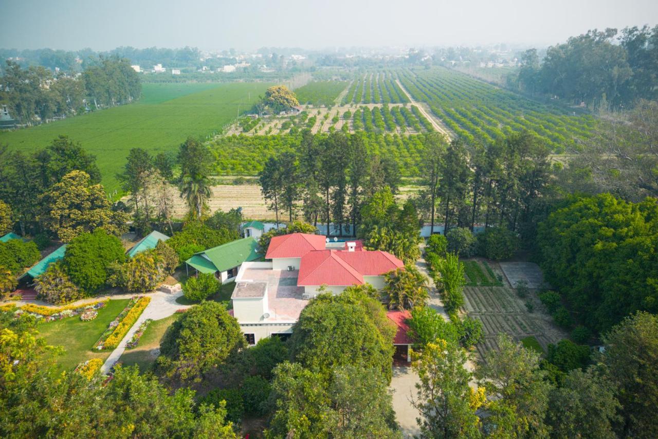 Citrus County, Hoshiarpur, Ama Stays & Trails Exteriér fotografie