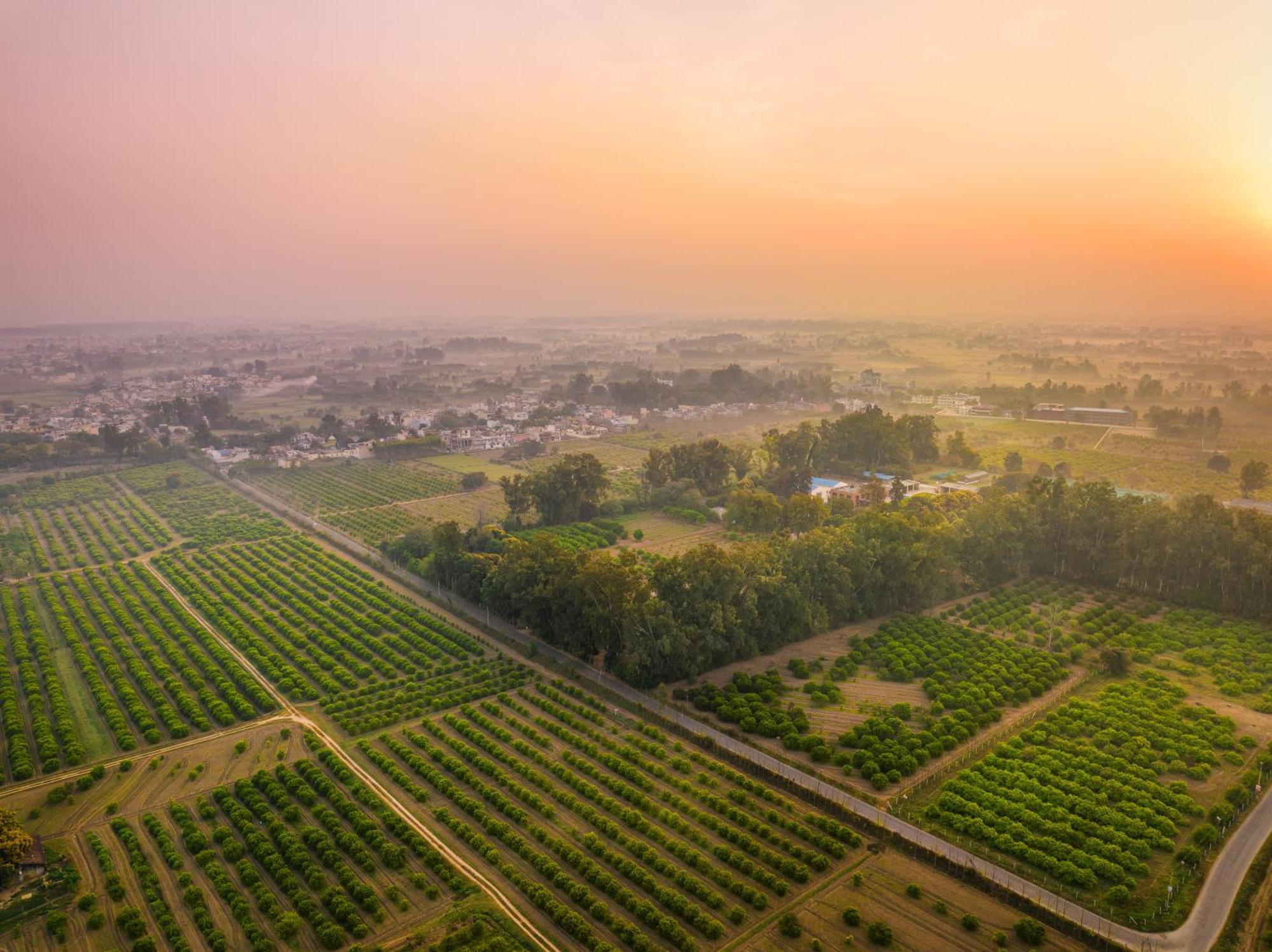Citrus County, Hoshiarpur, Ama Stays & Trails Exteriér fotografie